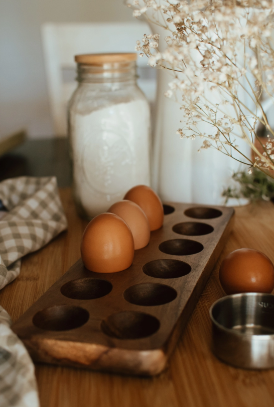 Egg Holder