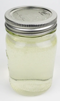 Dish Soap 16oz Prefill - Grapefruit & Mandarin (Made in California)